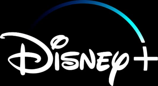 Logotyp marki Disney+ - klient AM Management - logotyp klienta
